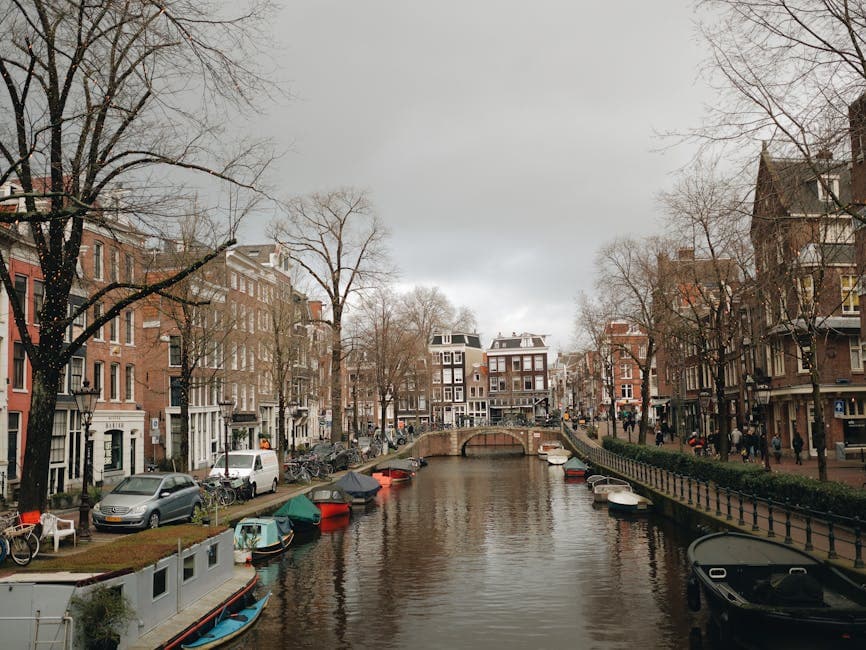Dutch vs Flemish Transcription: The Variant Gap